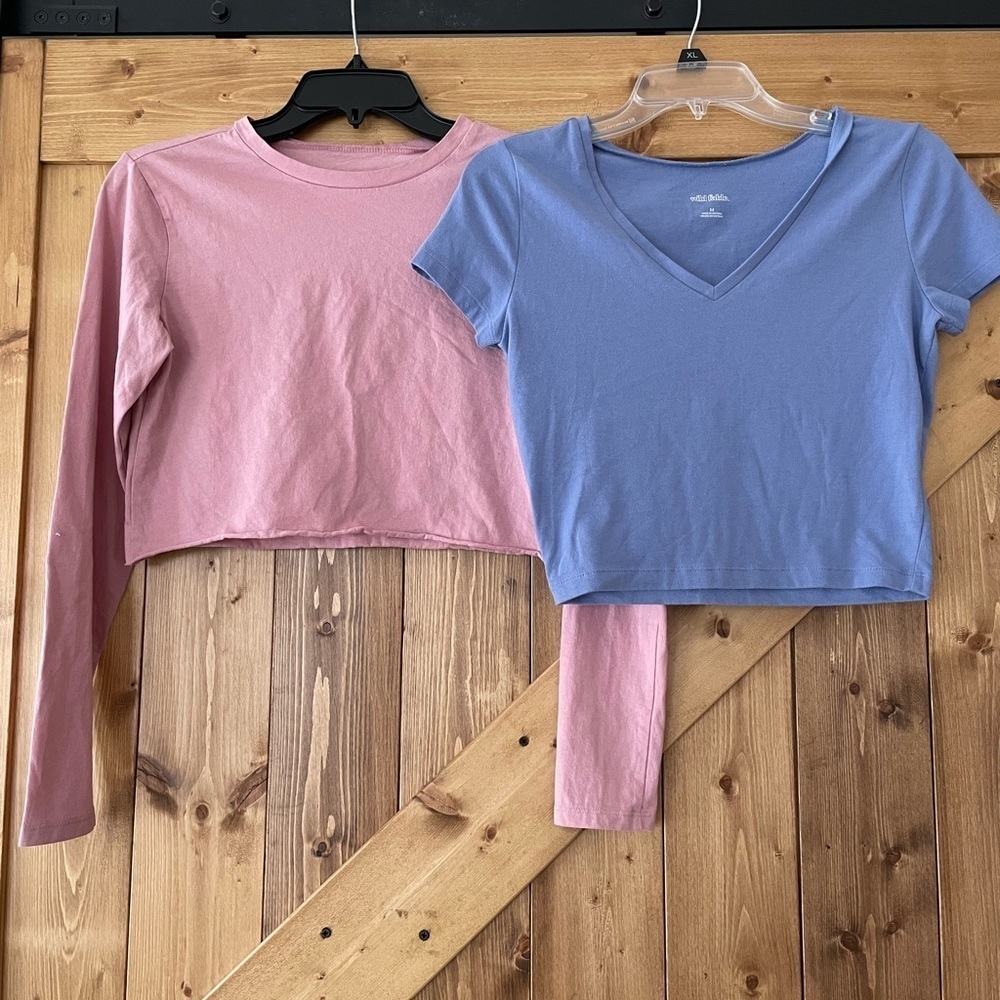 Wild Fable Tee Bundle | Blue tee: size medium and Pink Cropped Tee: size small
